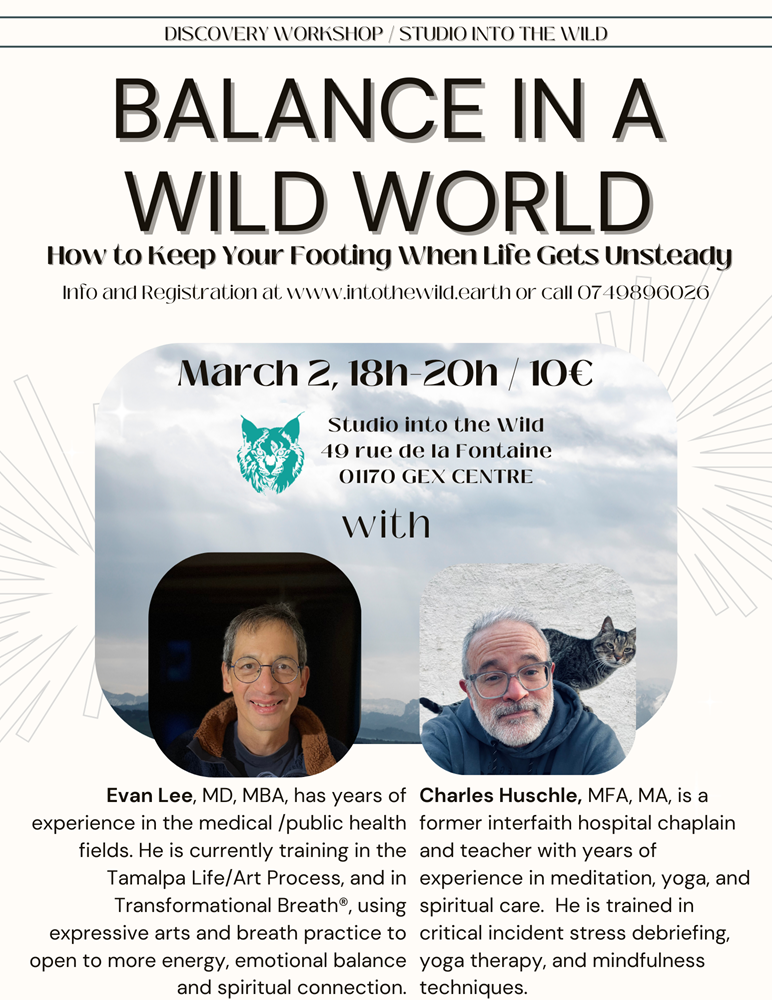 Discovery workshop: Balance in a Wild World